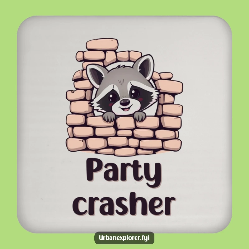 Funny Raccoon Coaster Set - Humorous Gift for Cheeky Tables